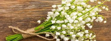 Muguet 1er mai