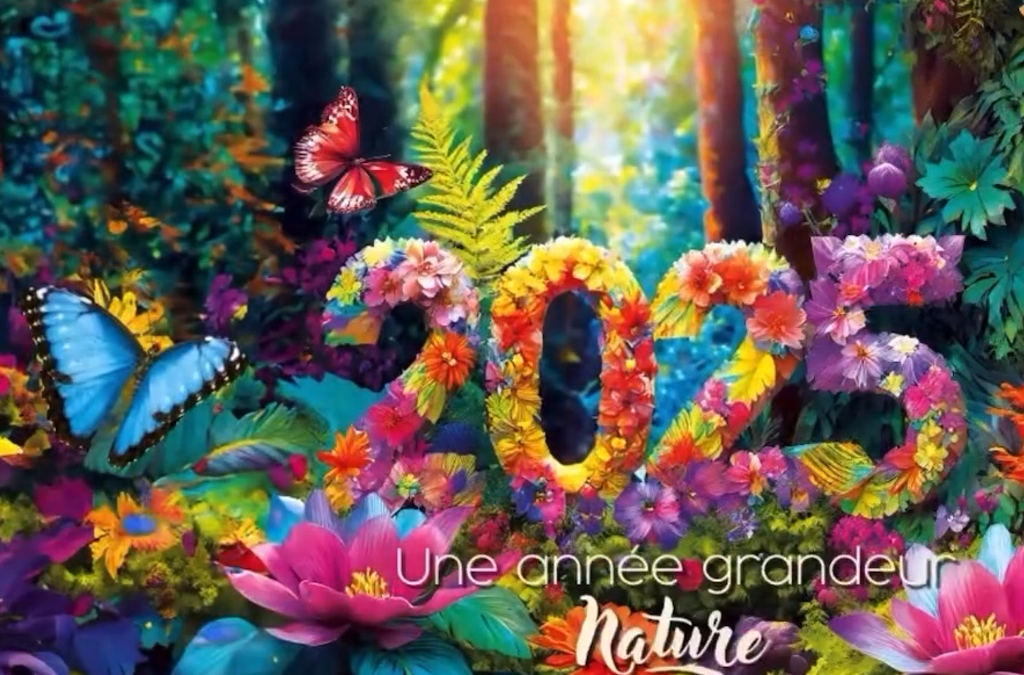 Bonne année 2025 🥳✨