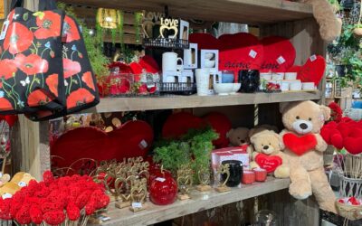 Faites plaisir pour la Saint-Valentin ! ❤️🌹