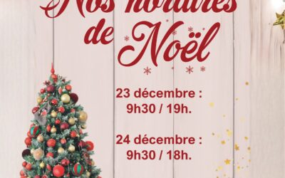 Horaires de Noël