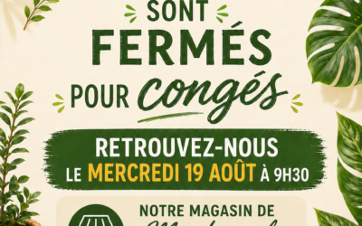 Machecoul reste ouvert pendant les congés de Saint-Philbert et Sainte-Pazanne !